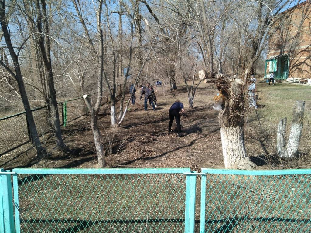 Постер к социальной практике: Встал поутру, умылся, привел себя в порядок - и сразу же приведи в порядок свою планету...