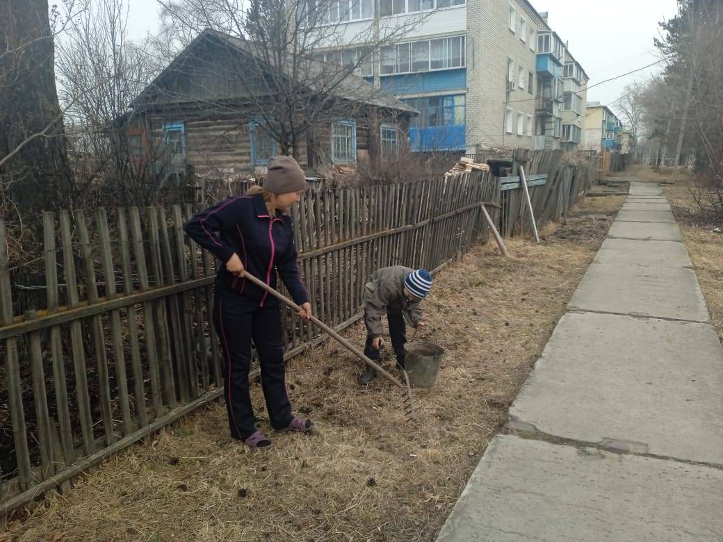 Постер к социальной практике: Акция "Чистый двор"