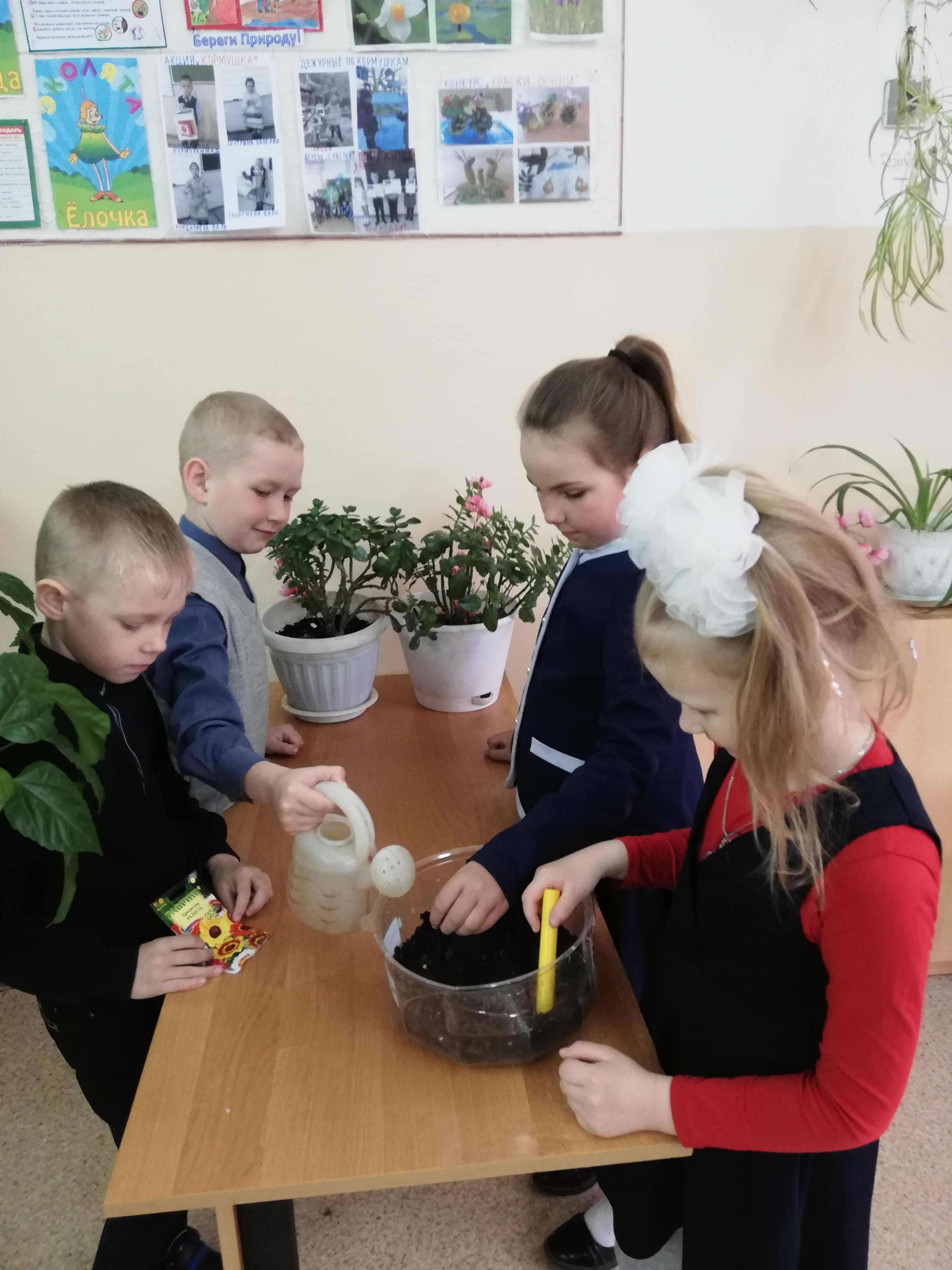 Постер к социальной практике: Рассада для школьной клумбы