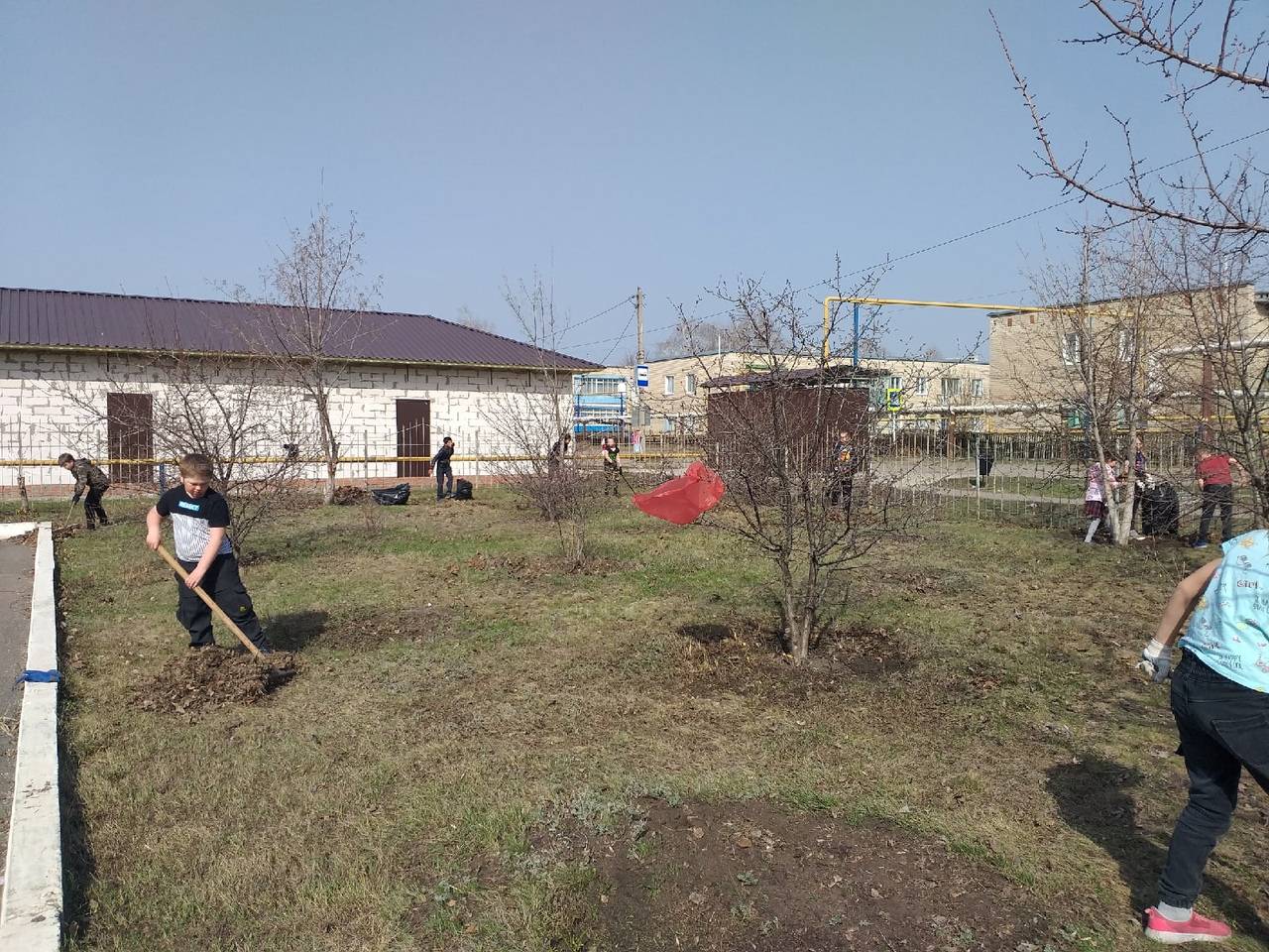 Постер к социальной практике: Защитим родную природу