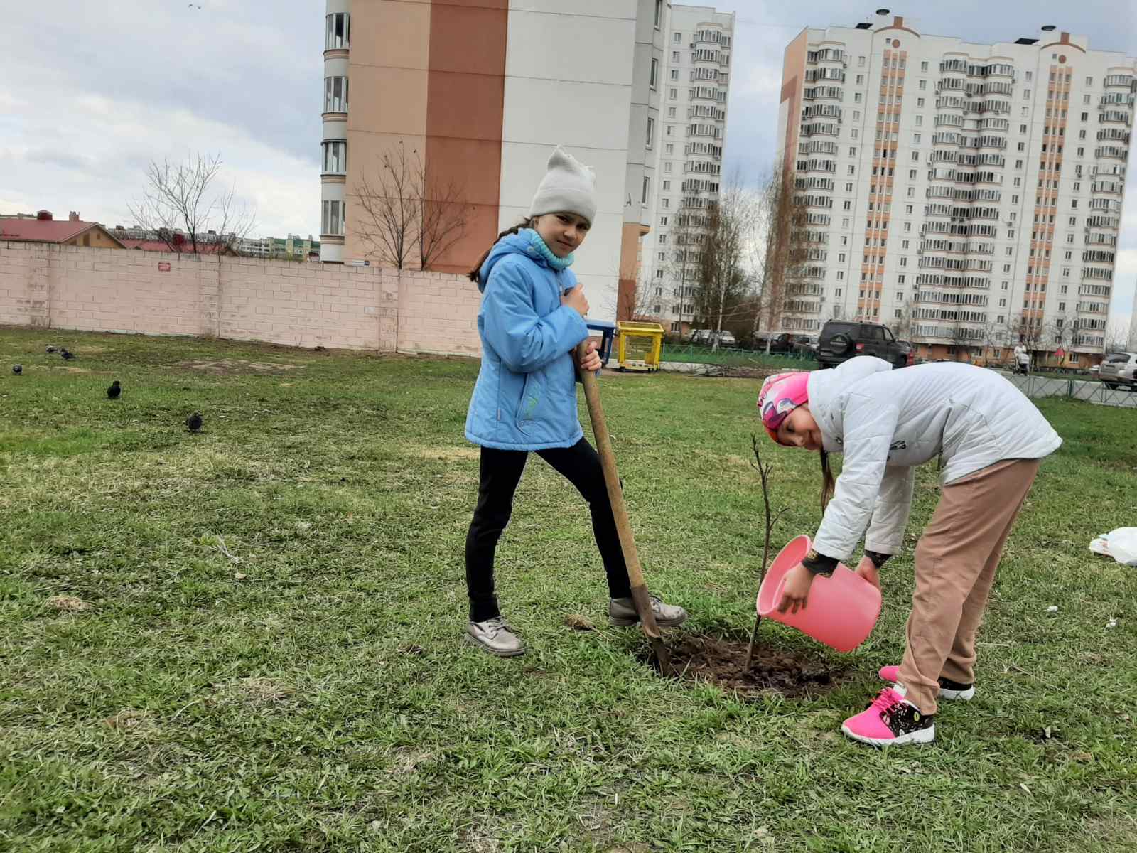 Постер к социальной практике: Планета Земля в опасности