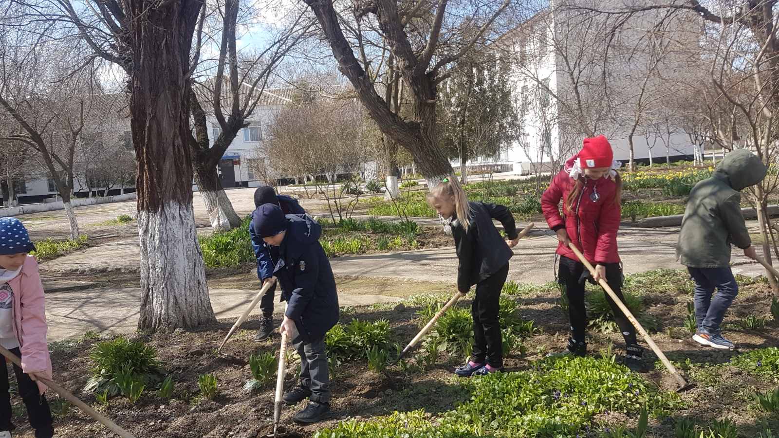 Постер к социальной практике: Активные участники добрых дел