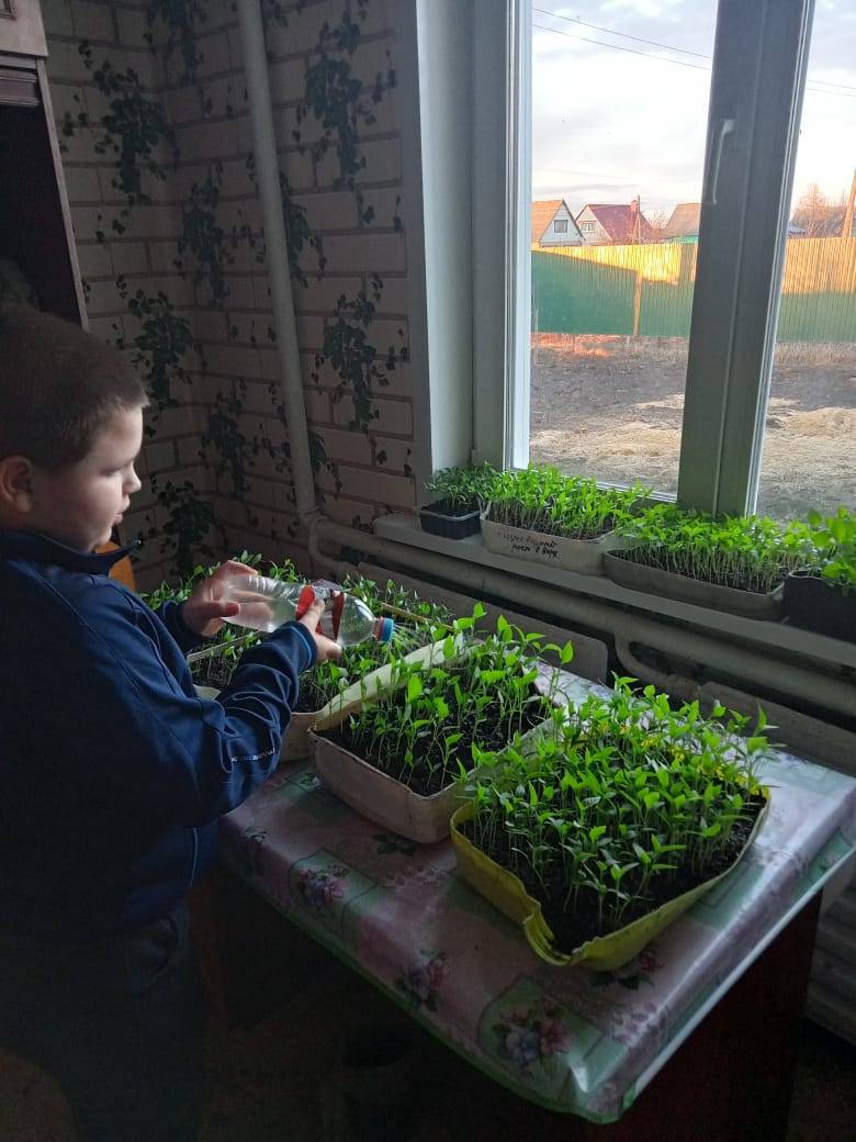 Постер к социальной практике: Будь природе другом!