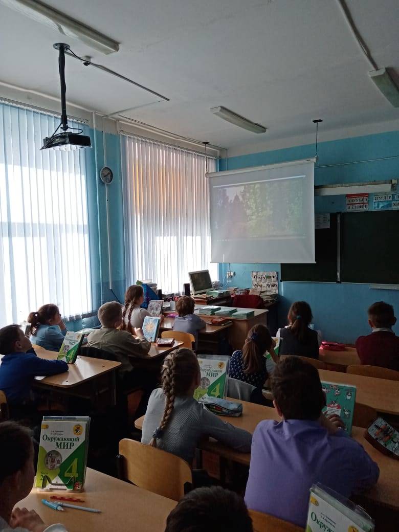 Постер к социальной практике: Экология снаружи - экология внутри
