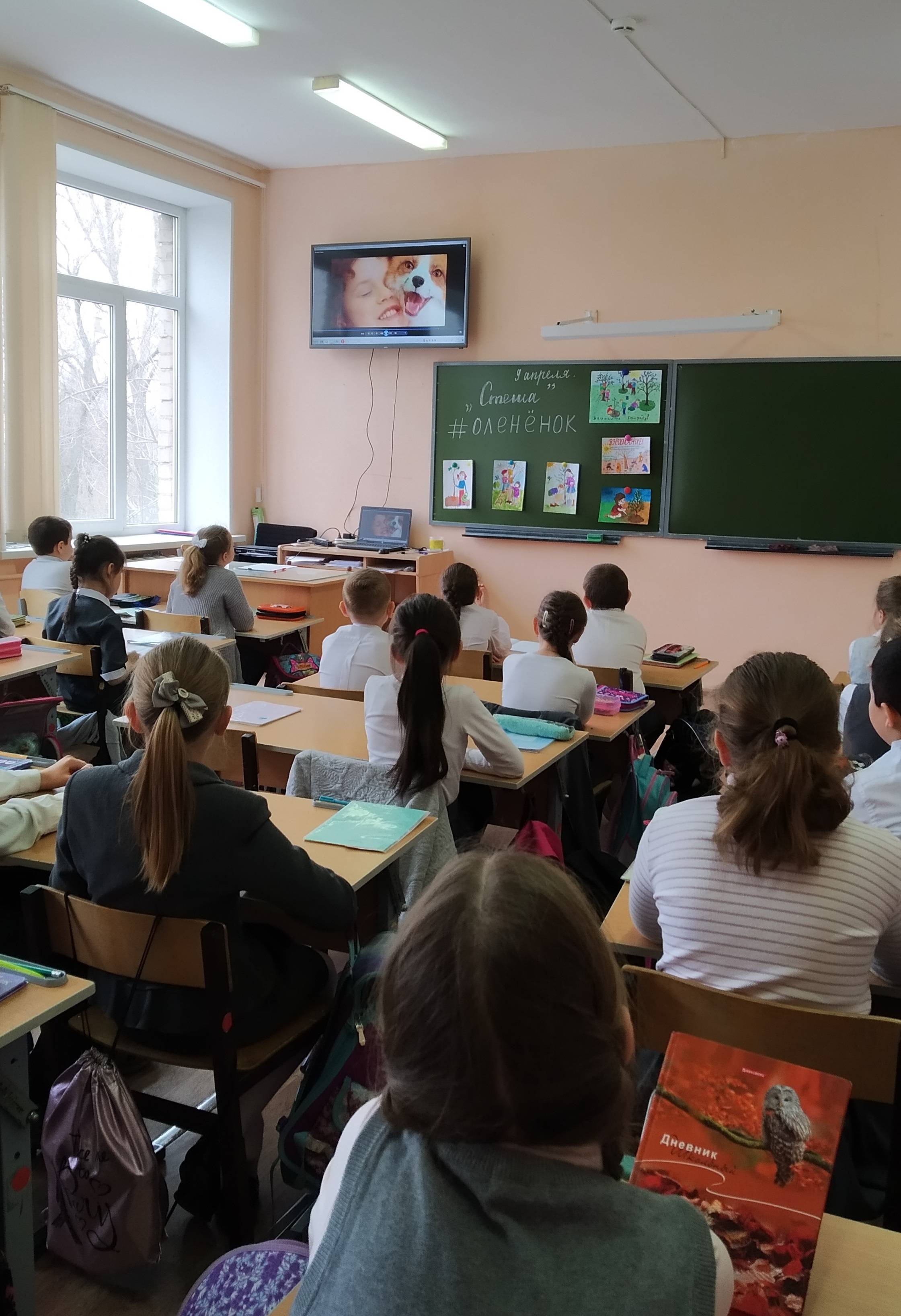 Постер к социальной практике: Мы должны сохранить жизнь на земле!