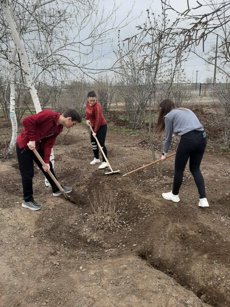 Постер к социальной практике: Друзья природы.
