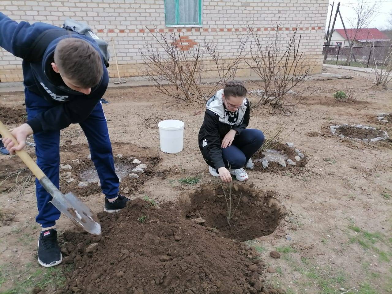Постер к социальной практике: Добрая традиция.