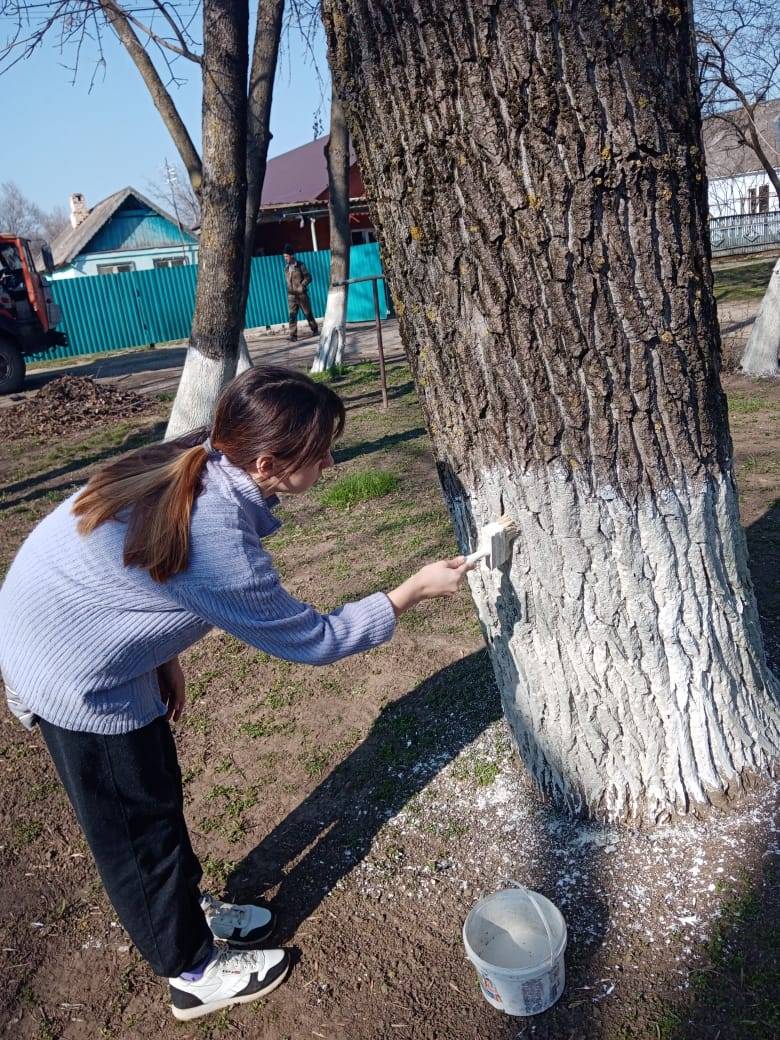 Постер к социальной практике: Субботник в "Парке Славы"