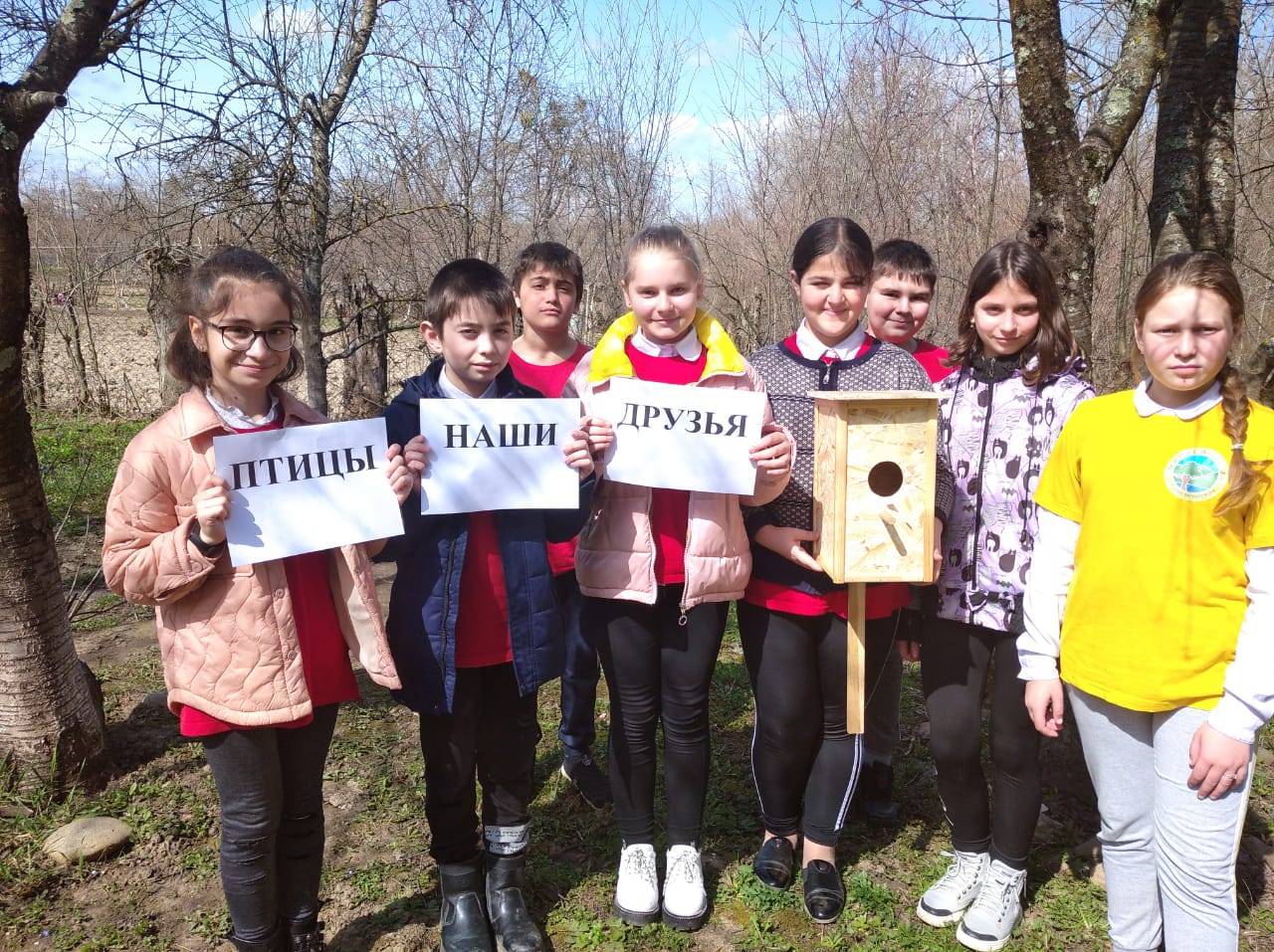 Постер к социальной практике: Птицы наши друзья