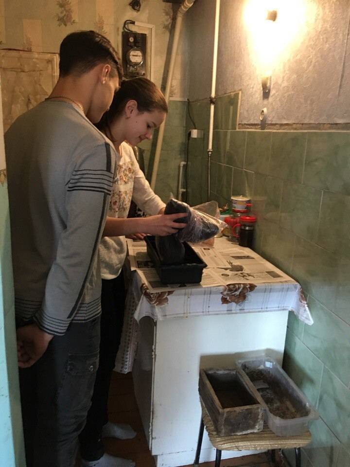 Постер к социальной практике: Уважение и помощь пожилым людям