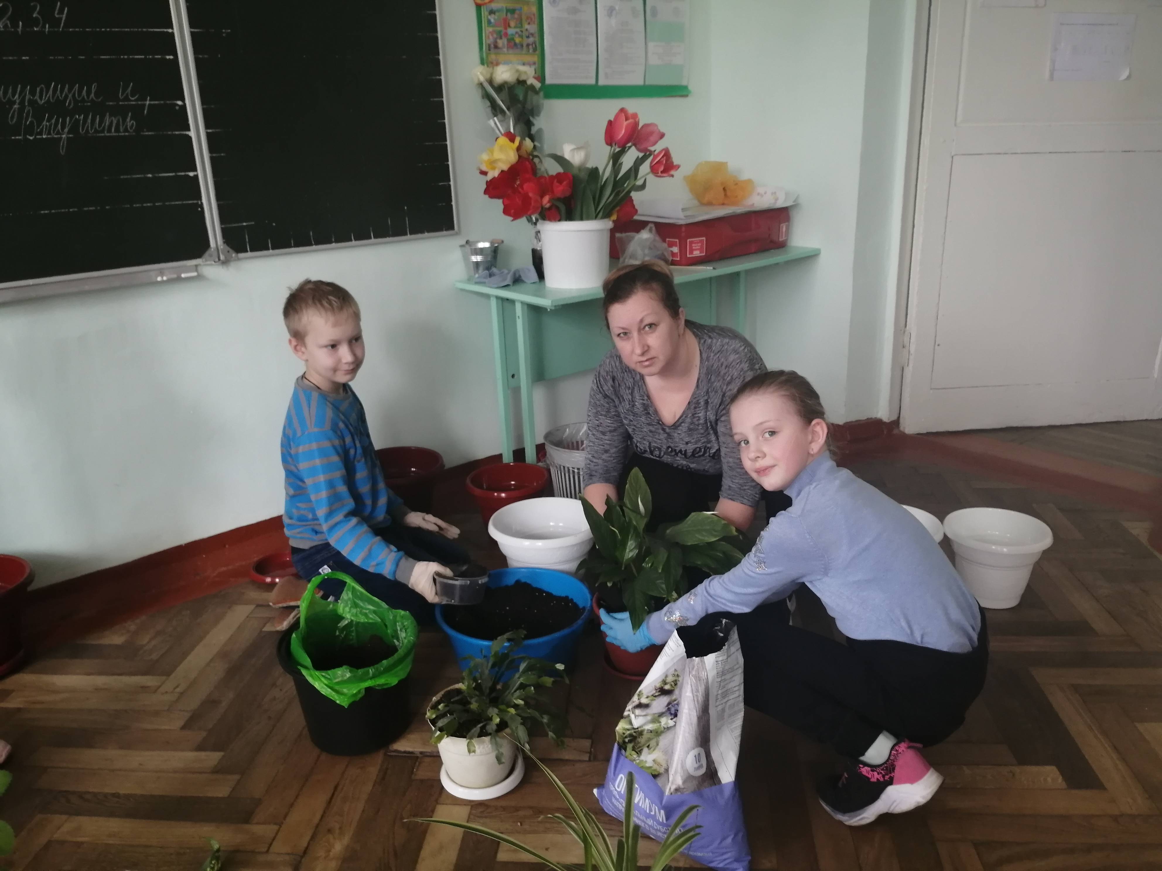 Постер к социальной практике: ЗЕЛЁНЫЙ УГОЛОК