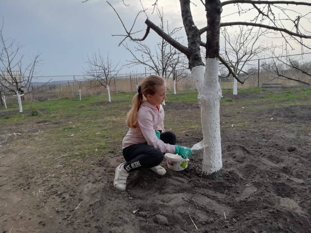 Постер к социальной практике: Бережём природу.