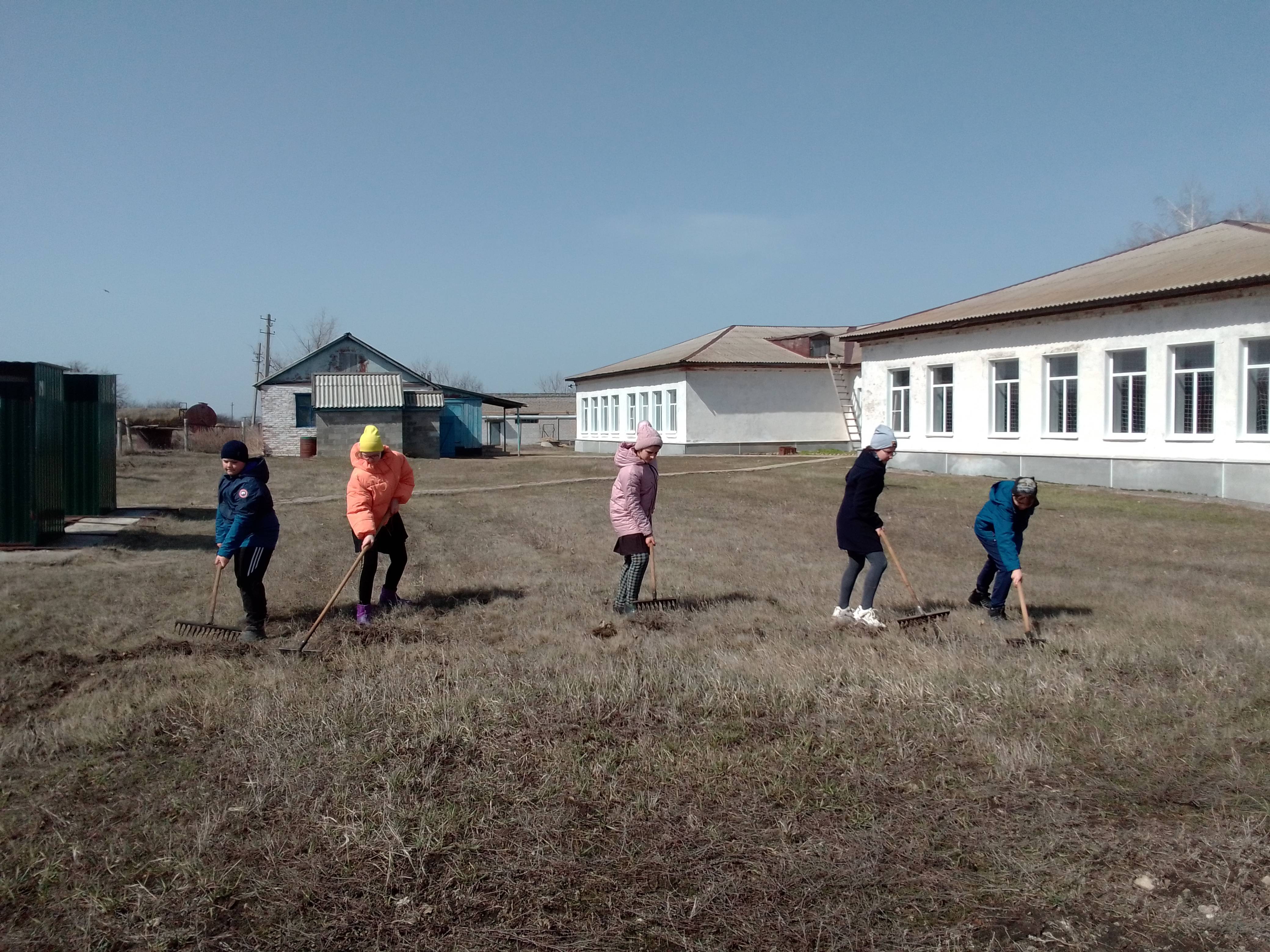 Постер к социальной практике: Наши дела