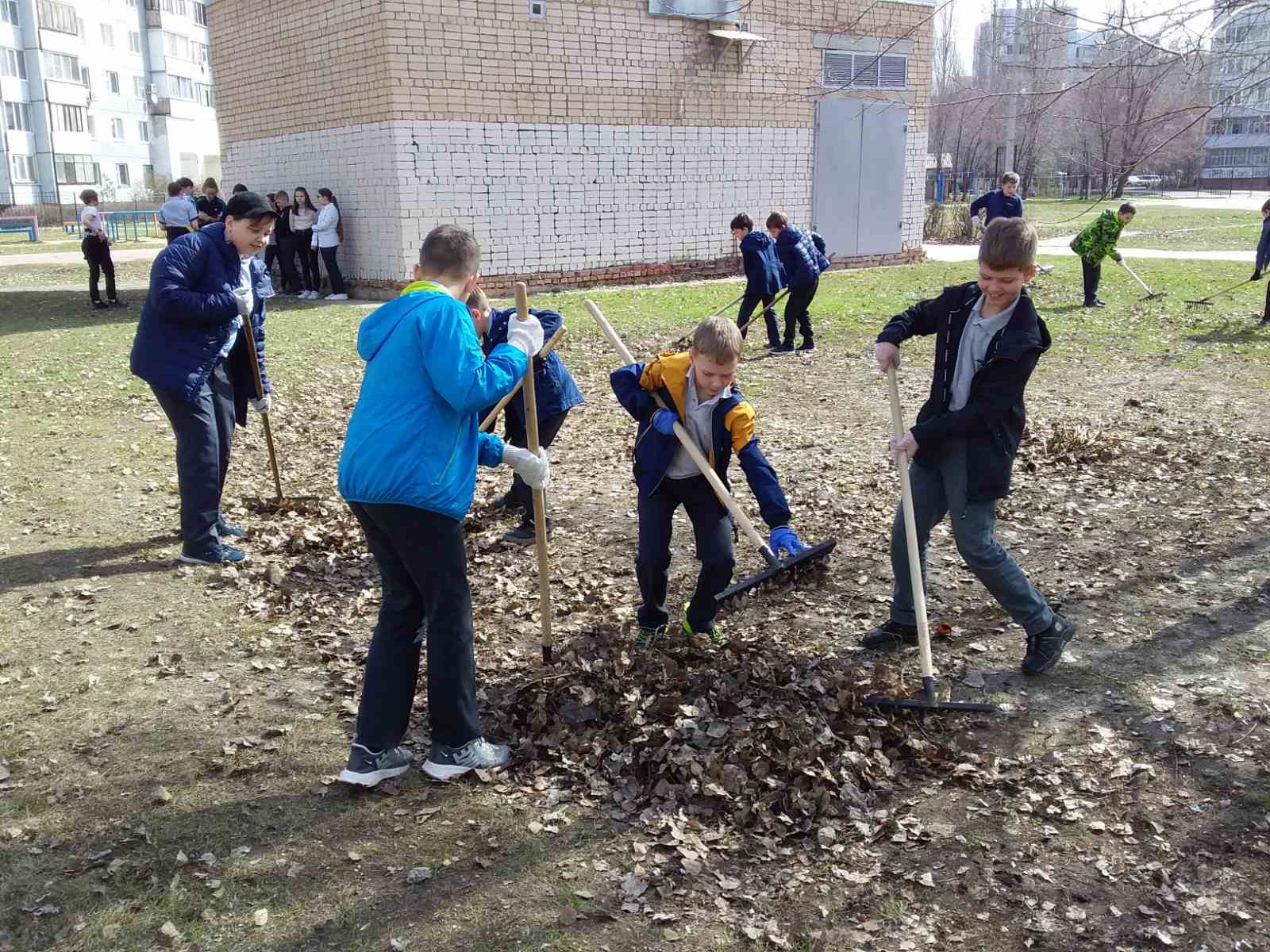 Постер к социальной практике: Чистый школьный двор!