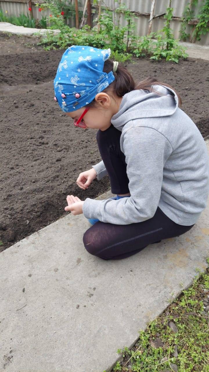 Постер к социальной практике: Берегите нашу природу.