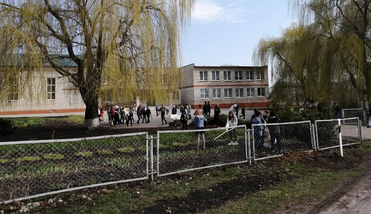 Постер к социальной практике: Чистота спасет мир