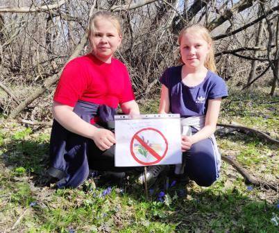 Постер к социальной практике: Защита раннецветущих растений