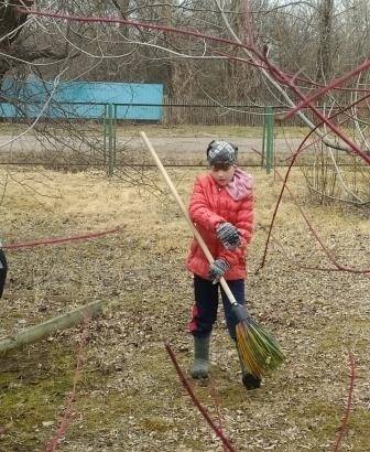 Постер к социальной практике: Экологический субботник "Чистый двор"