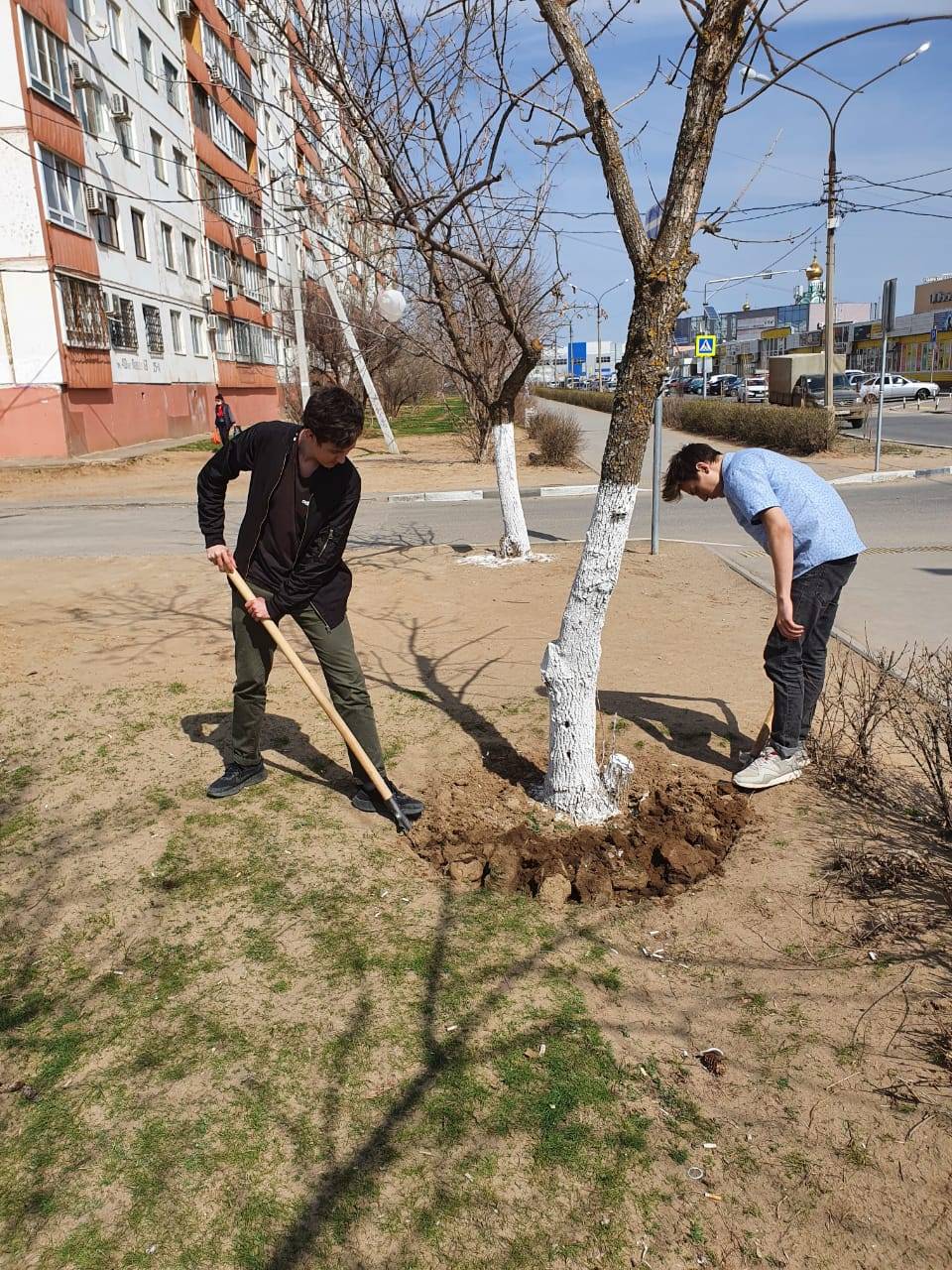 Постер к социальной практике: Созидательный труд
