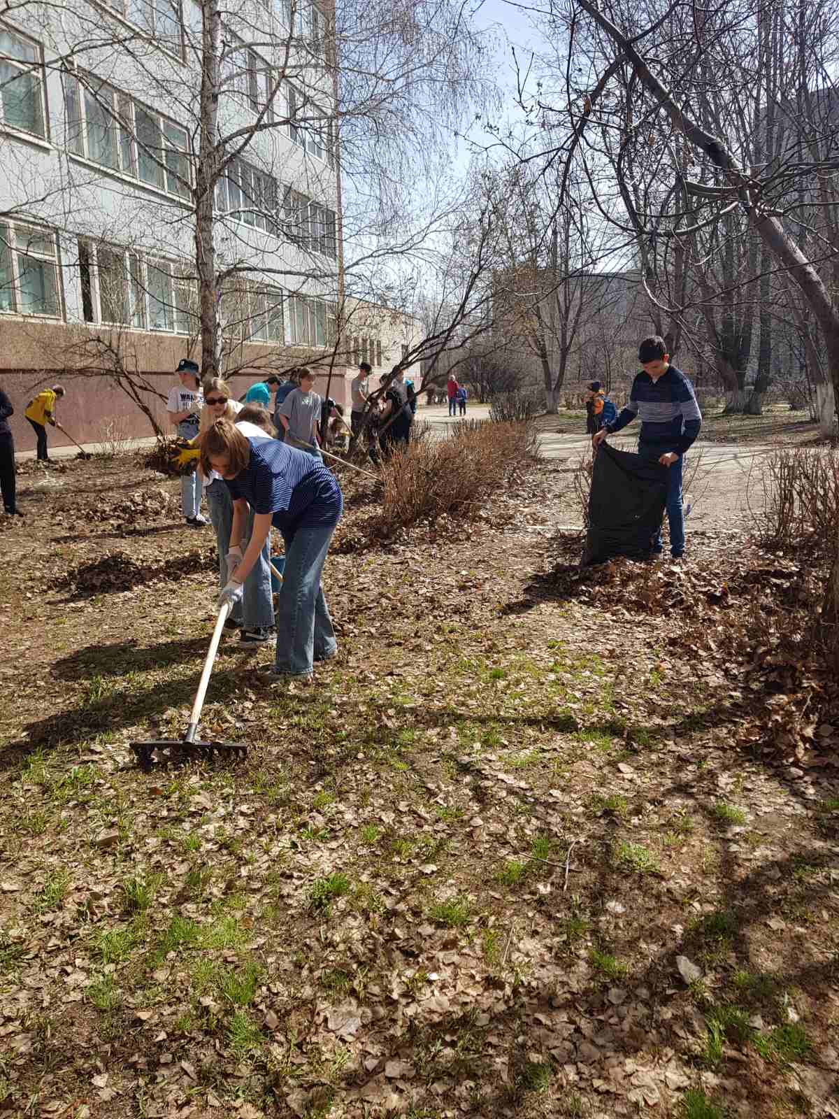 Постер к социальной практике: Субботник в школьном дворе.