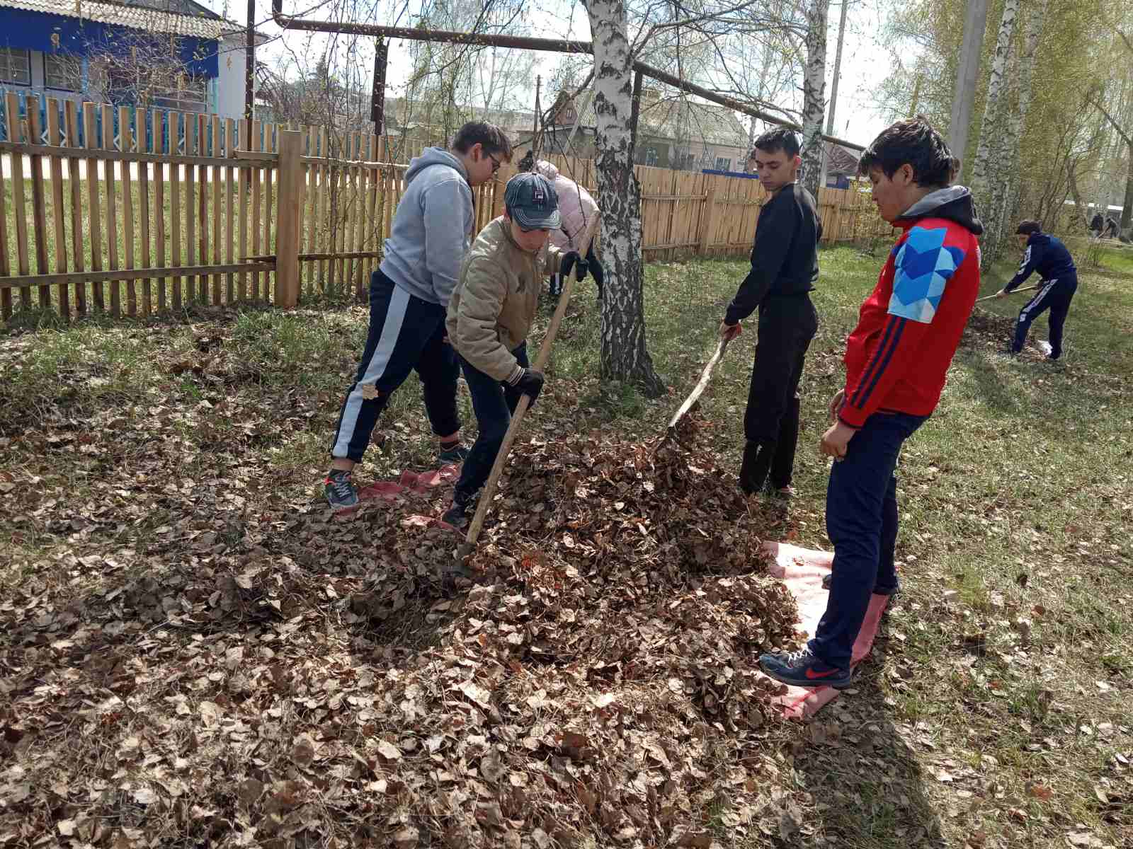 Постер к социальной практике: Экологический десант