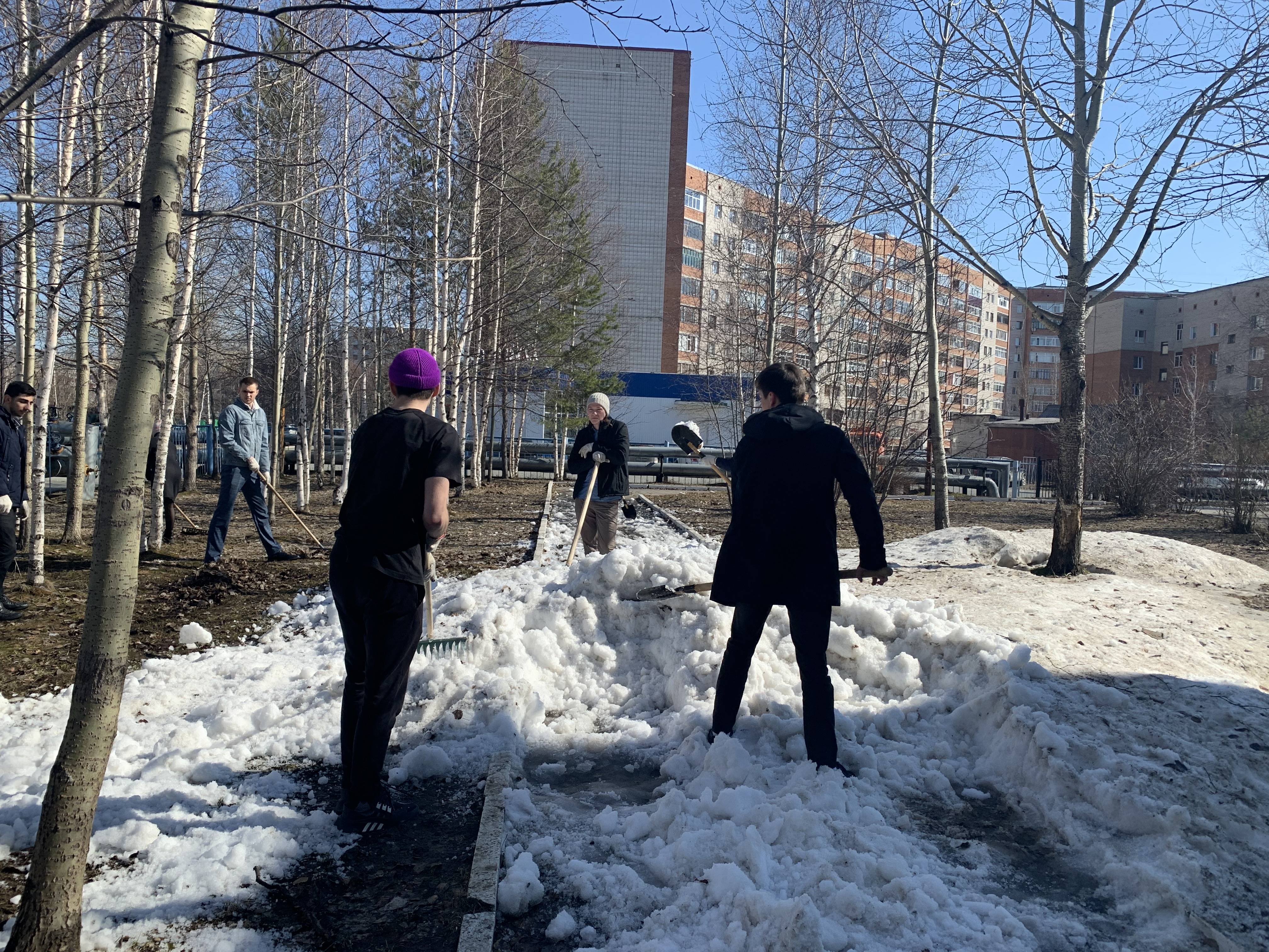 Постер к социальной практике: Городской субботник