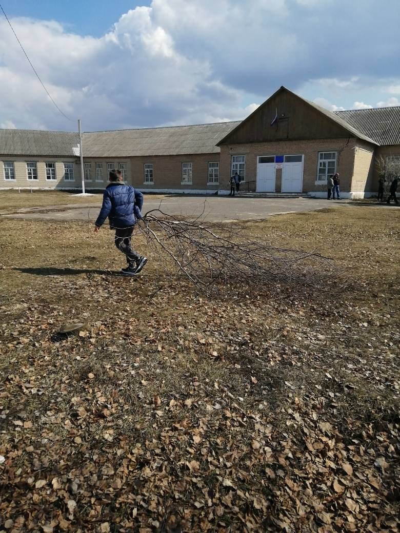 Постер к социальной практике: Субботник