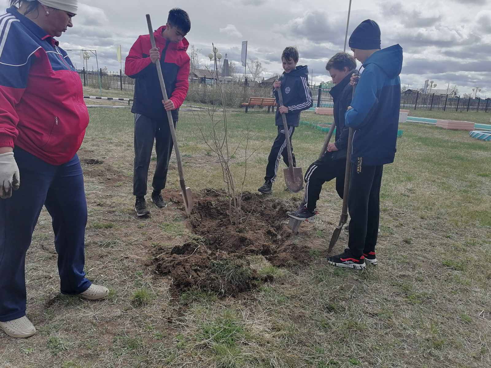 Постер к социальной практике: Посади дерево
