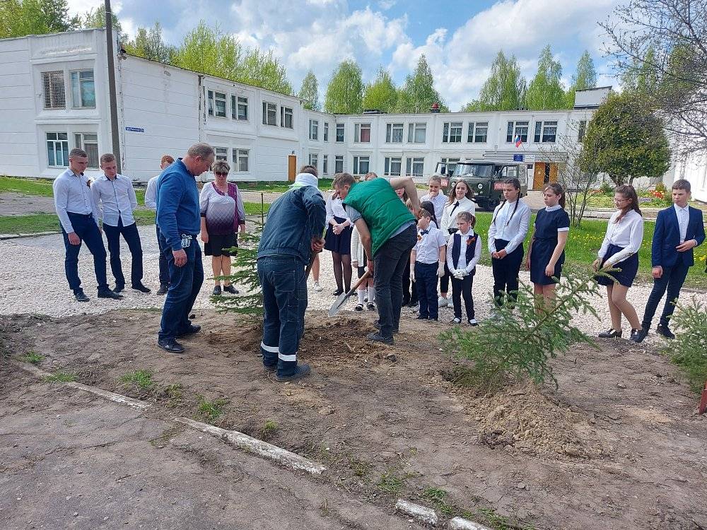 Постер к социальной практике: Есть у русского народа традиция – сажать деревья в честь героев, защищавших Родину.