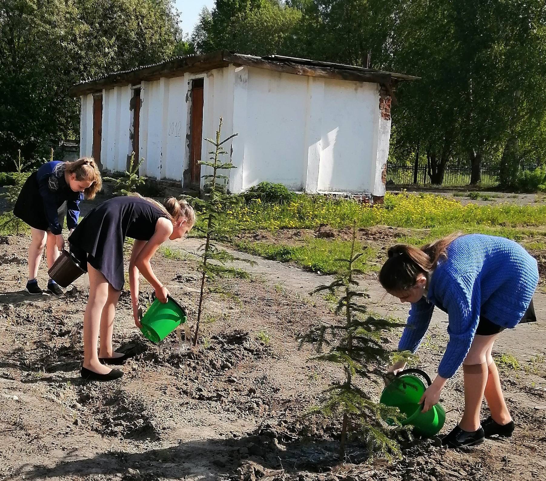 Постер к социальной практике: Сад памяти
