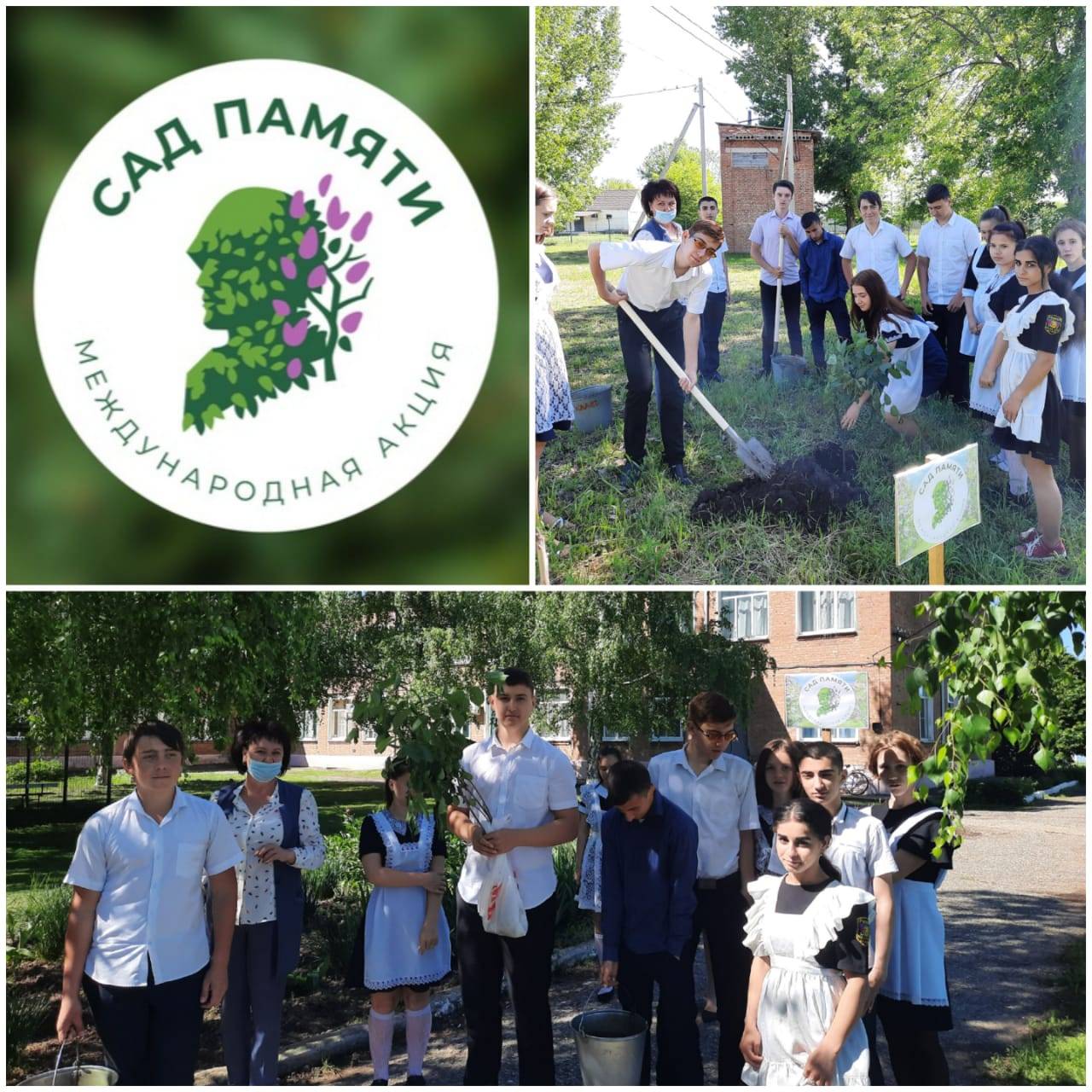 Постер к социальной практике: Сад памяти