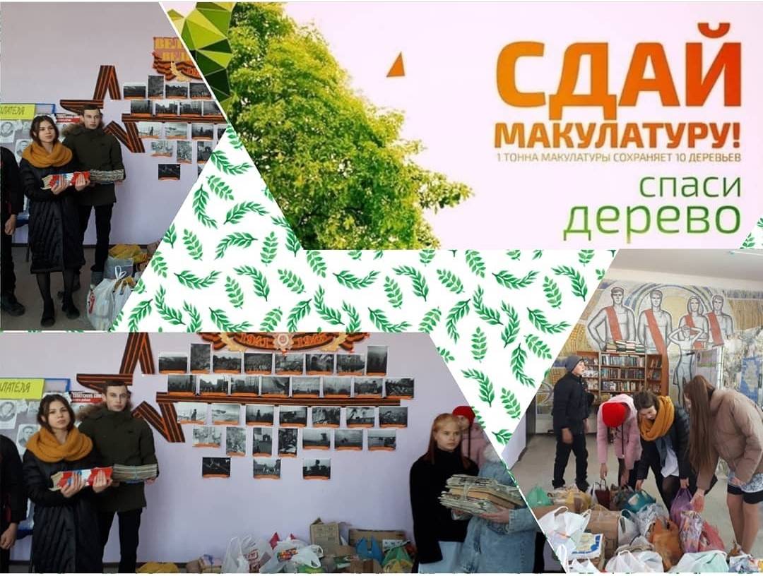 Постер к социальной практике: Сдай макулатуру-спаси дерево