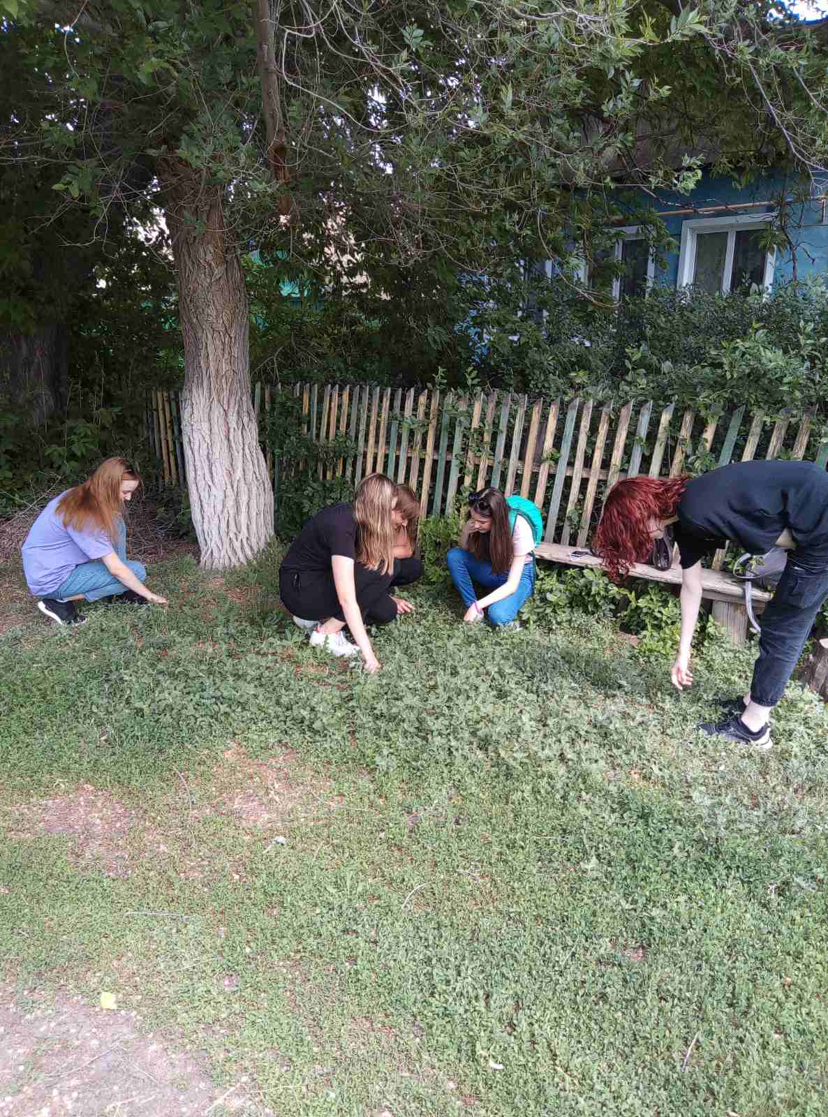 Постер к социальной практике: “СЕРДЦА ПОКОЛЕНИЙ”