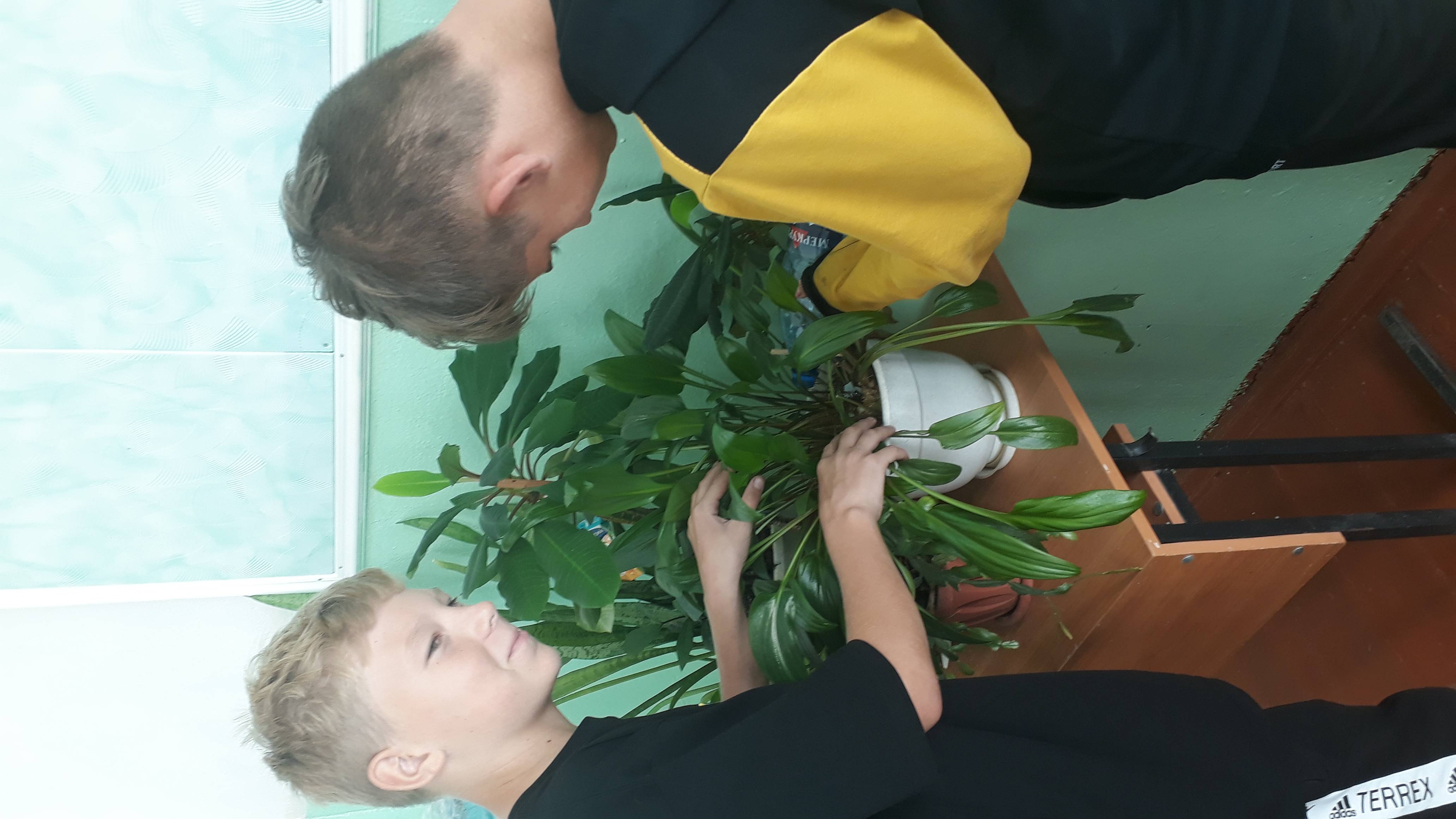 Постер к социальной практике: «Экология классного пространства»