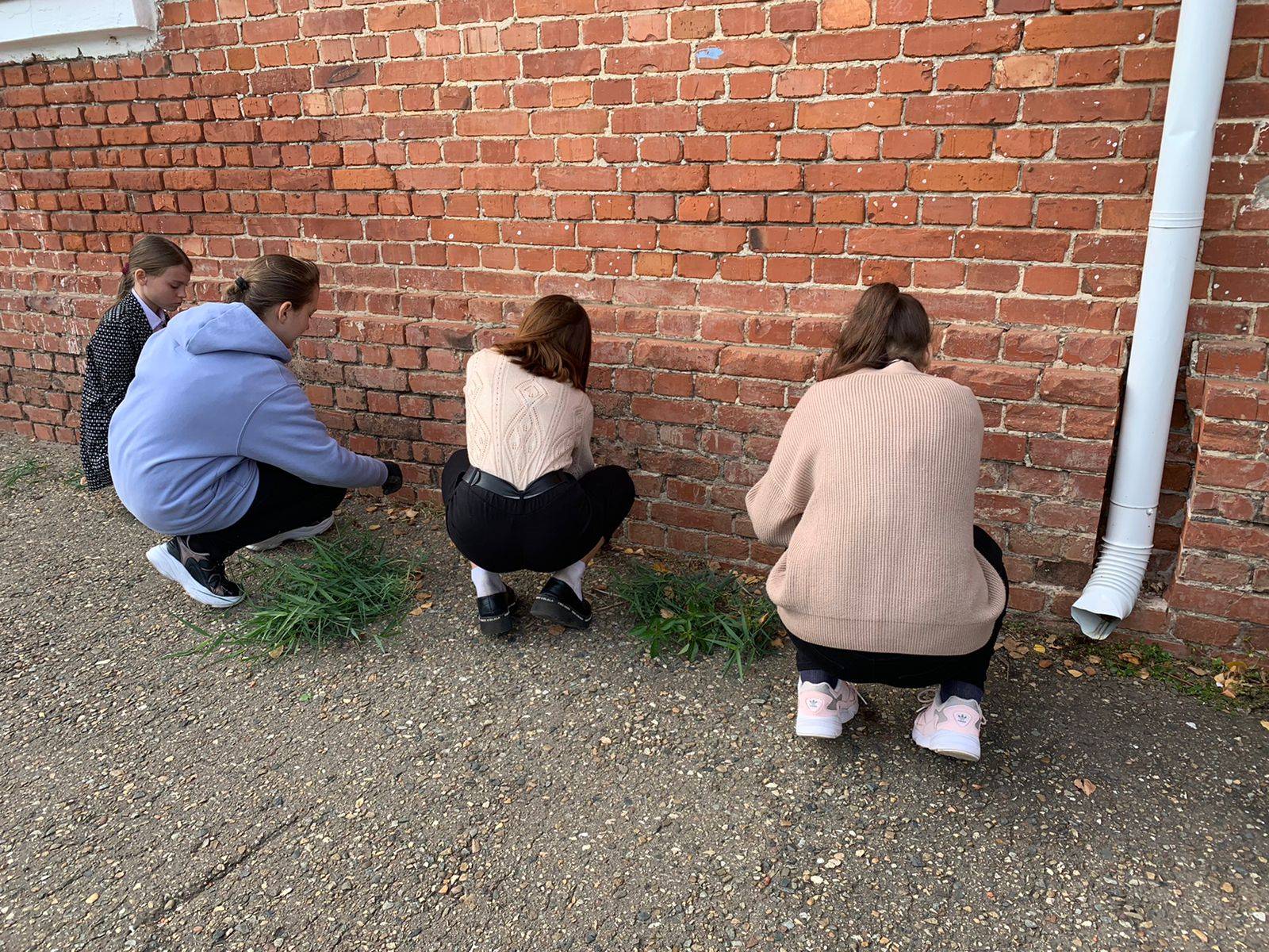 Постер к социальной практике: Общее дело