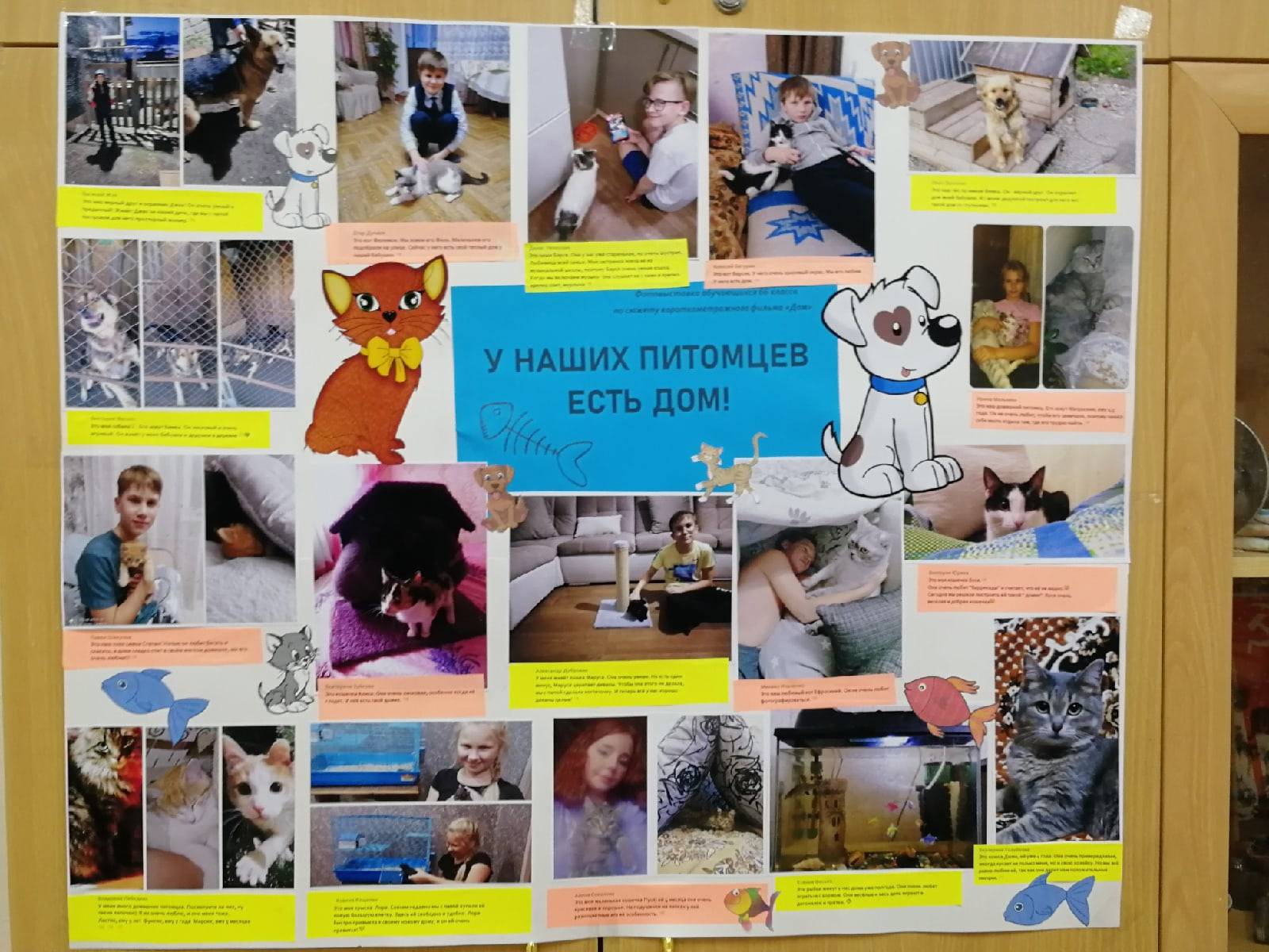 Постер к социальной практике: Фото-выставка "У наших питомцев есть дом!"