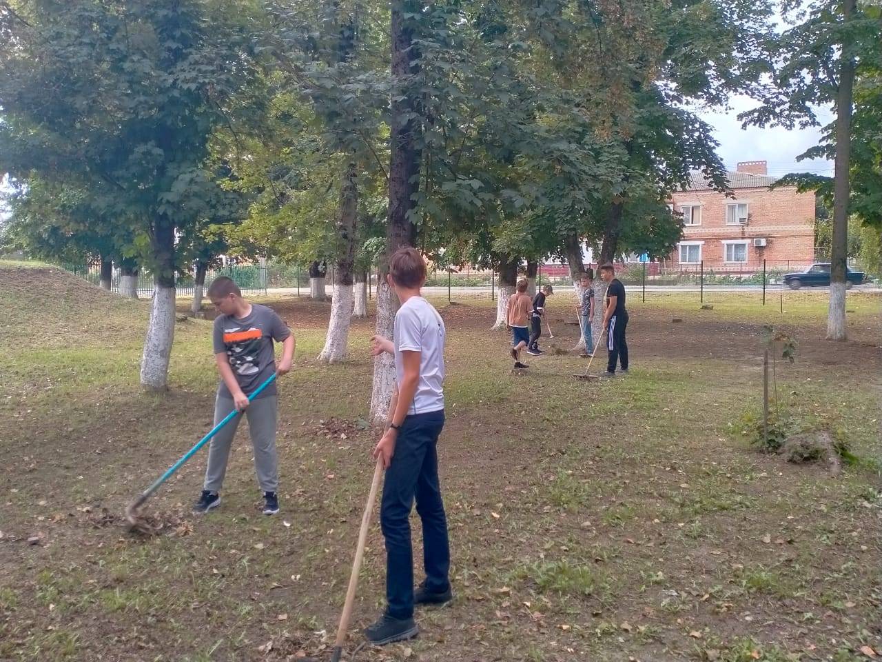 Постер к социальной практике: " Чистота родной школы"