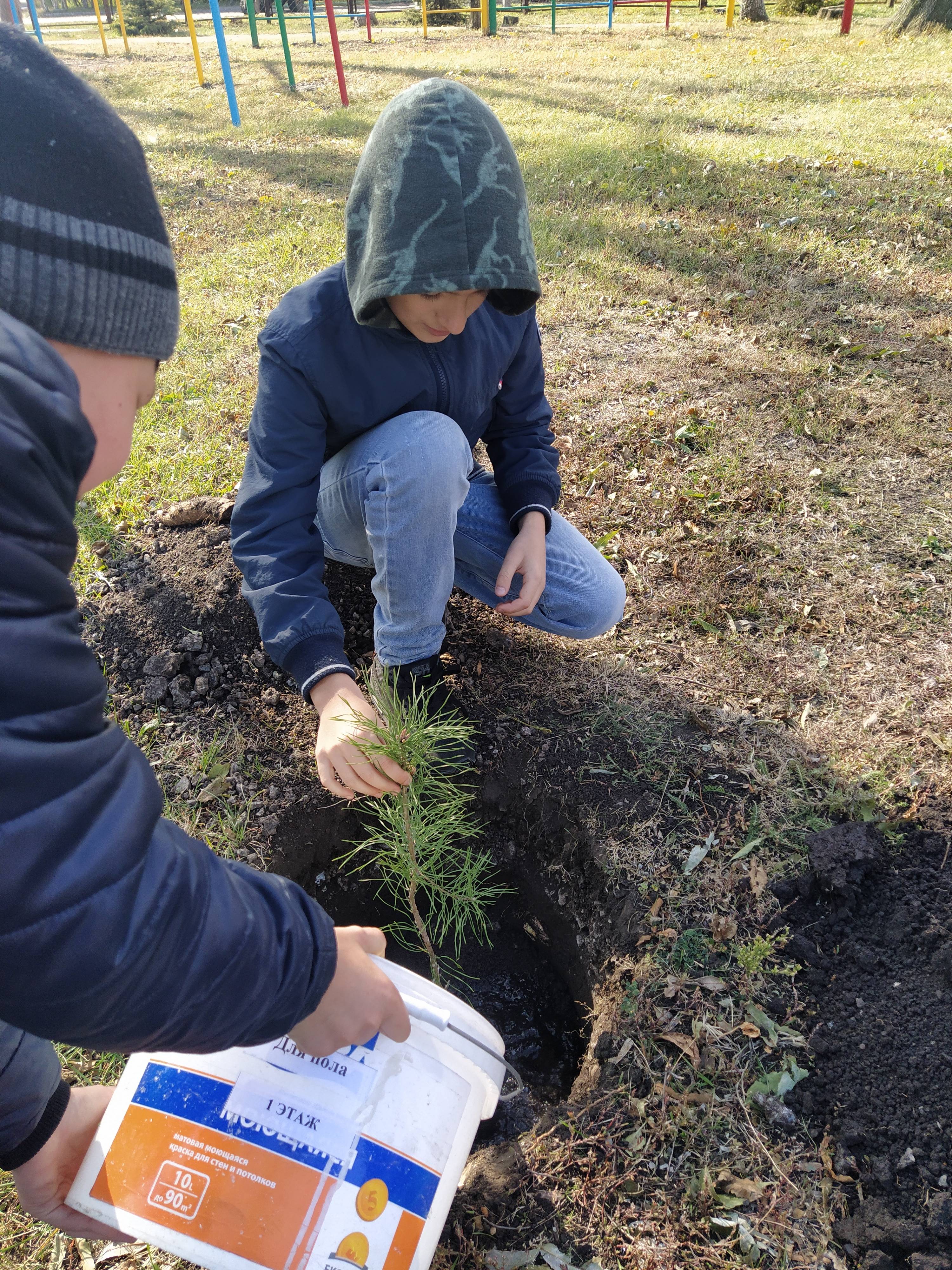 Постер к социальной практике: Даже одно дерево имеет значение!