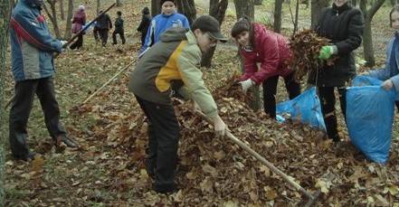 Постер к социальной практике: Трудовой десант