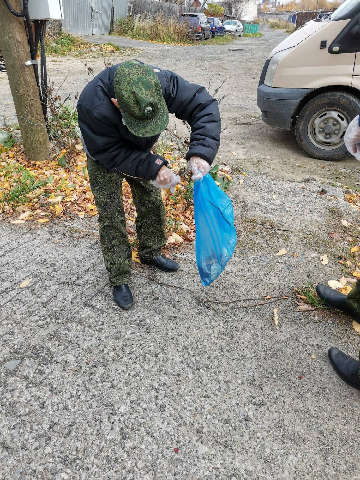 Постер к социальной практике: экологический десант