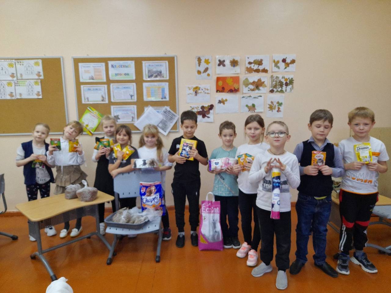 Постер к социальной практике: Помощь бездомным животным/Корм для приюта