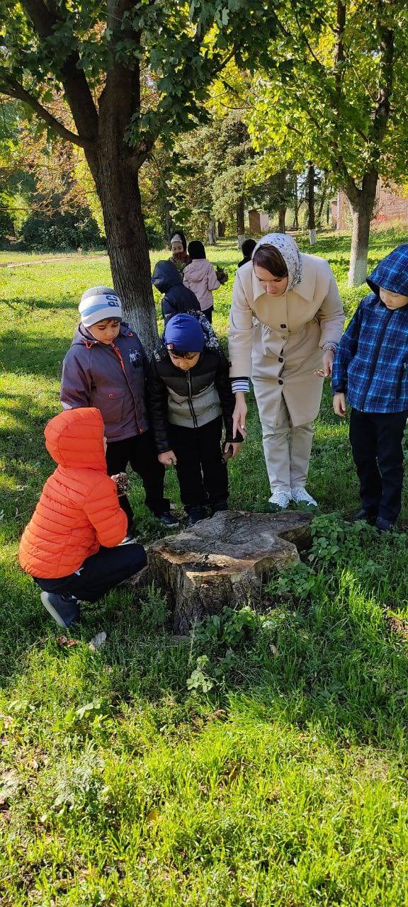 Постер к социальной практике: Настоящие друзья