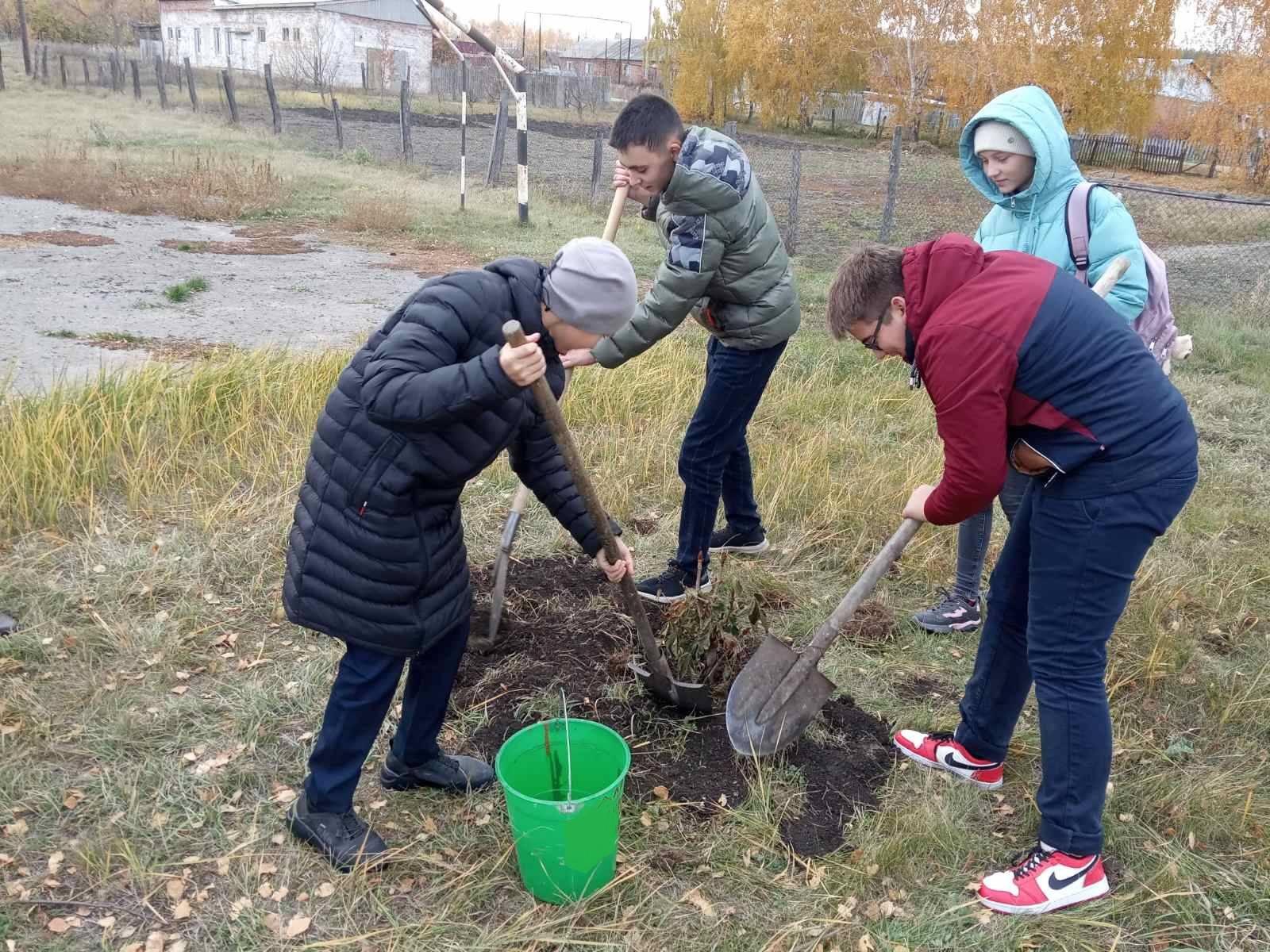 Постер к социальной практике: Аллея Памяти