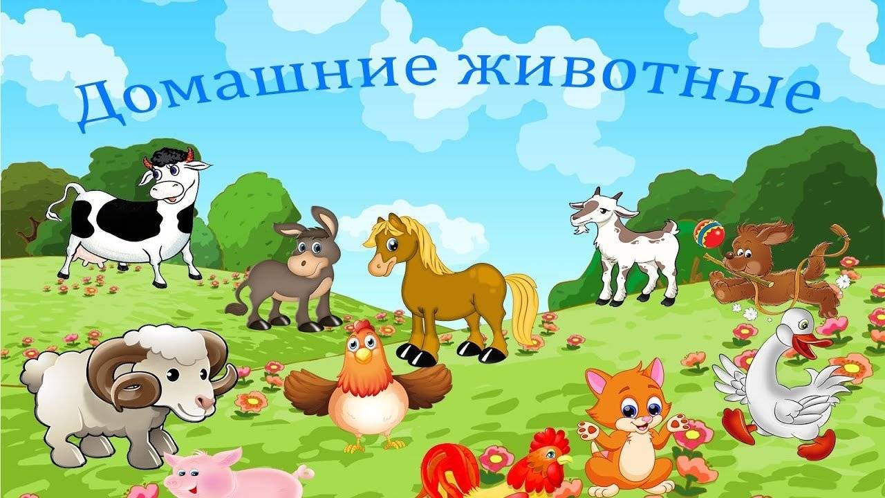 Постер к социальной практике: Мы в ответе за наш второй дом