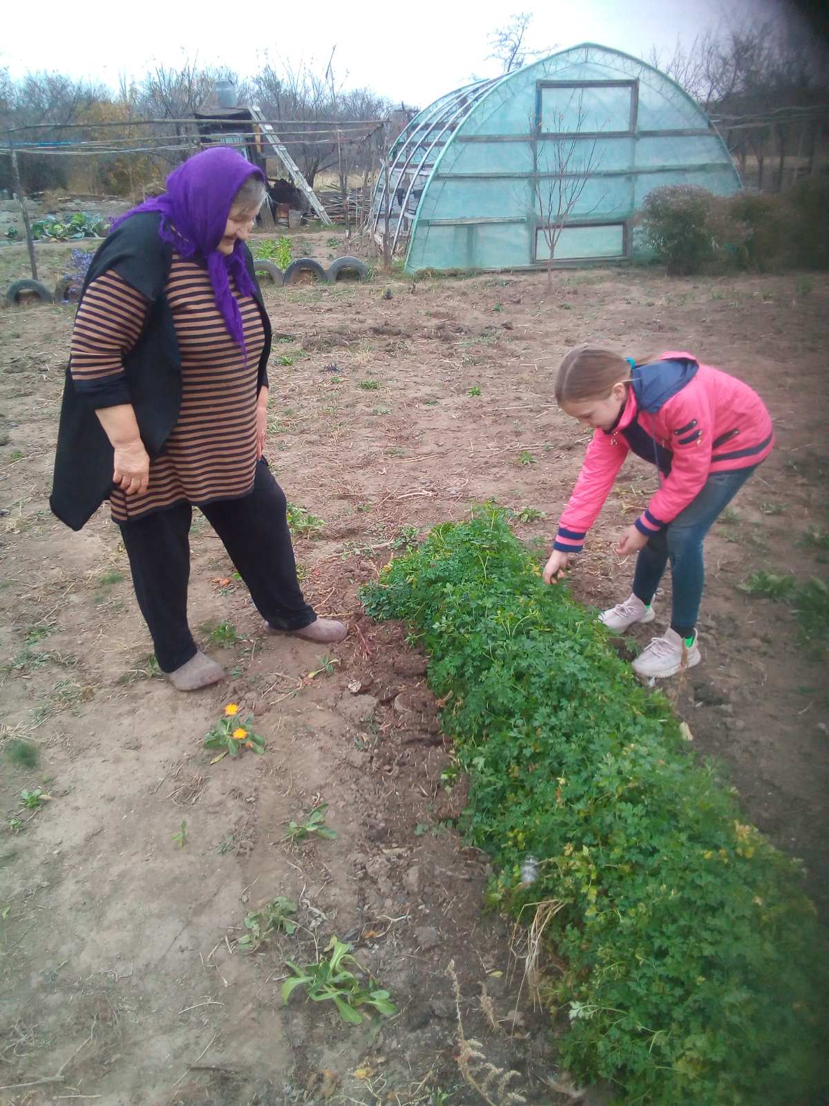 Постер к социальной практике: Будем близким помогать и о них заботиться!