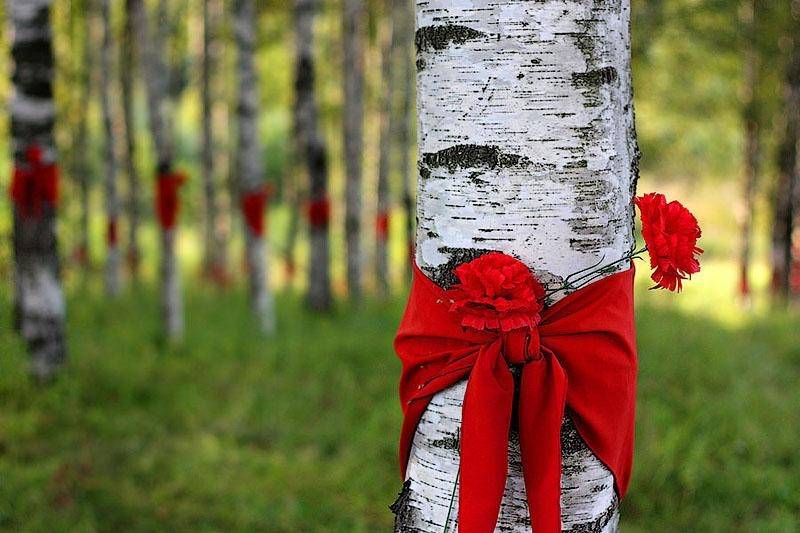Постер к социальной практике: Детство, опалённое блокадой/Патриотическая акция/ Выезд на мемориальный комплекс "Цветок жизни"