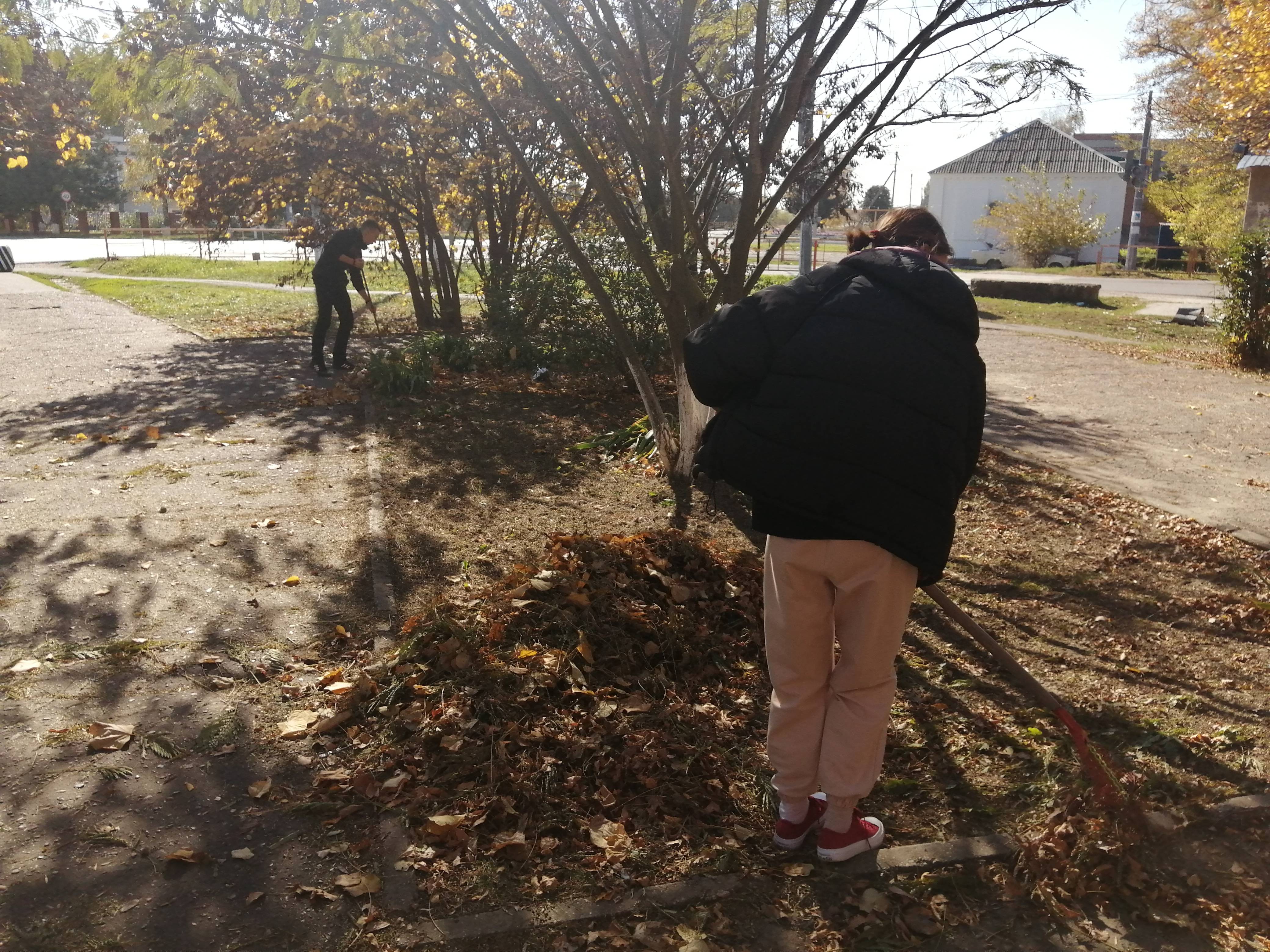 Постер к социальной практике: Защита природы