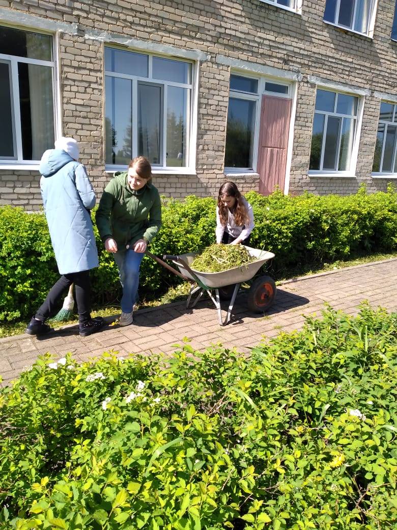 Постер к социальной практике: "Охраняй природу!" Волонтёрская акция