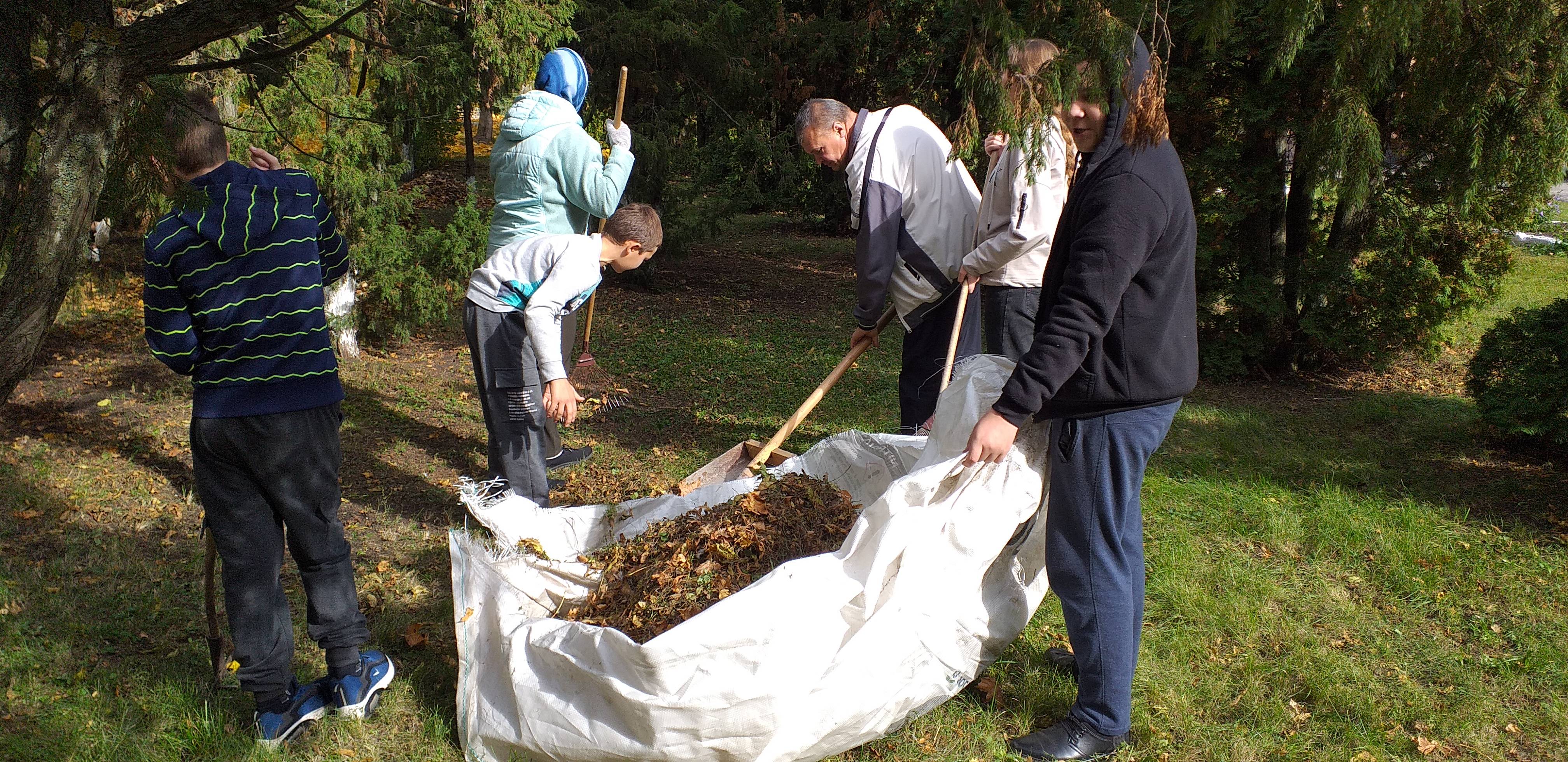 Постер к социальной практике: ""Содержи в порядке свою территорию