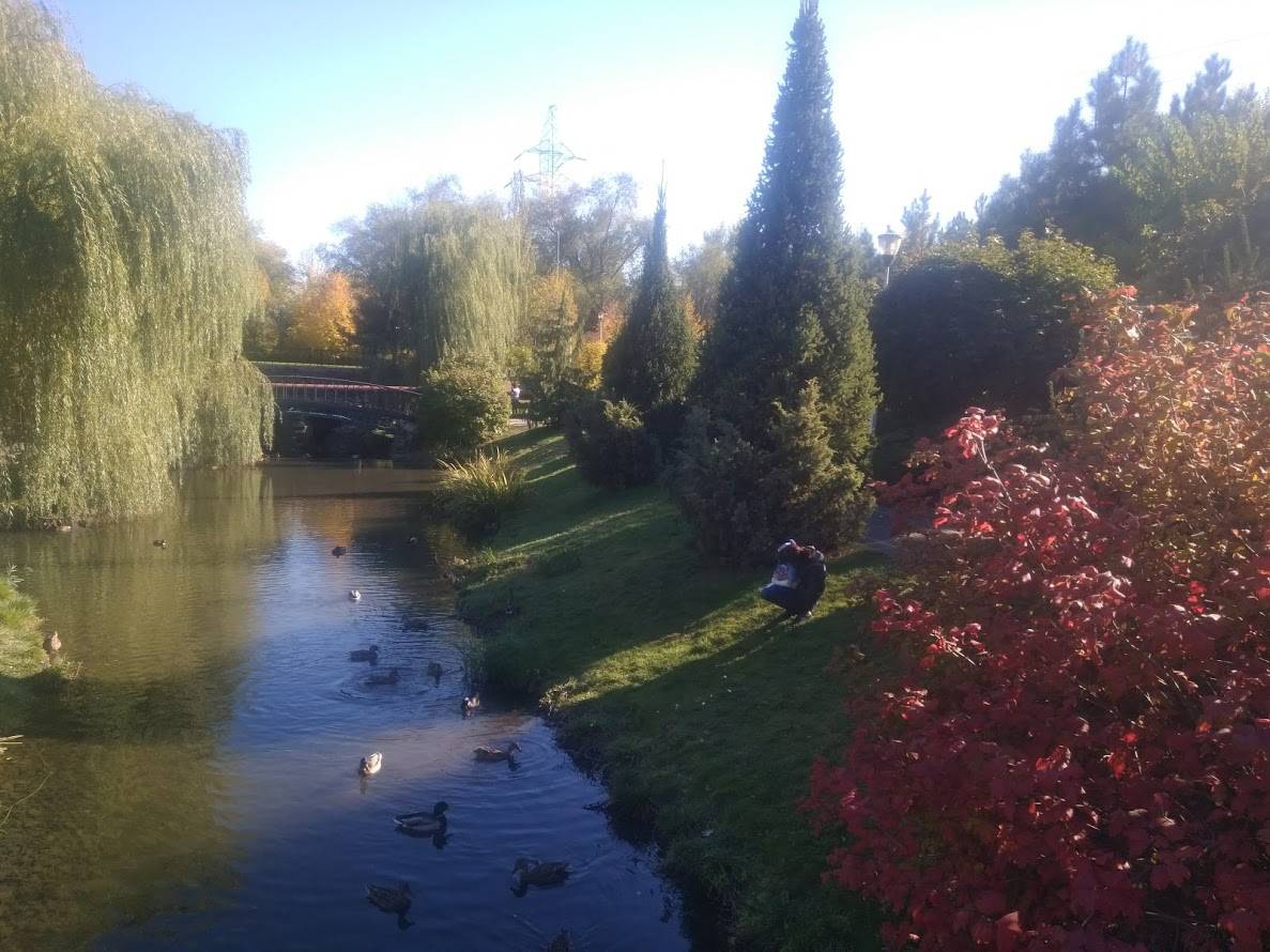 Постер к социальной практике: Акция "Мой город. Мой мир. Моя ответственность!"